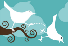 Twitter bird kicks another bird off branch